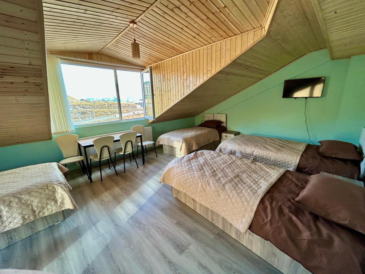 Dandelion Hotel Gudauri Ganisi 外观 照片