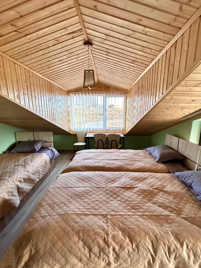 Dandelion Hotel Gudauri Ganisi 外观 照片